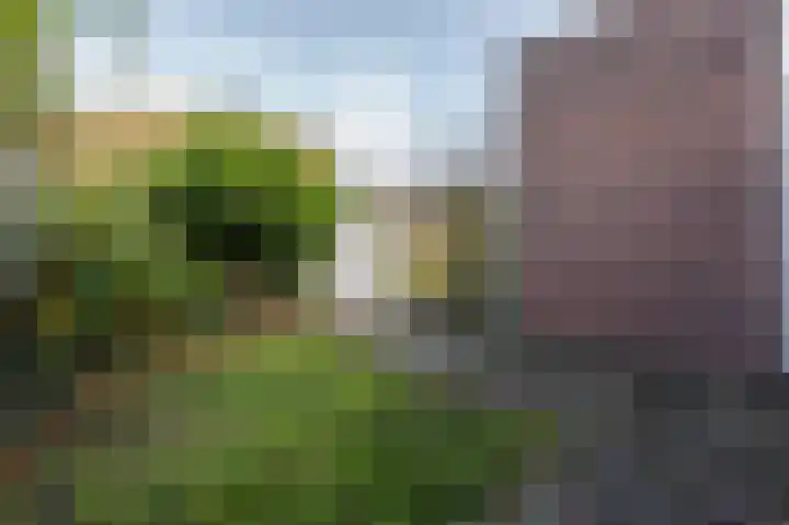 Populierenlaan 14 Middelburg thumbnail 21