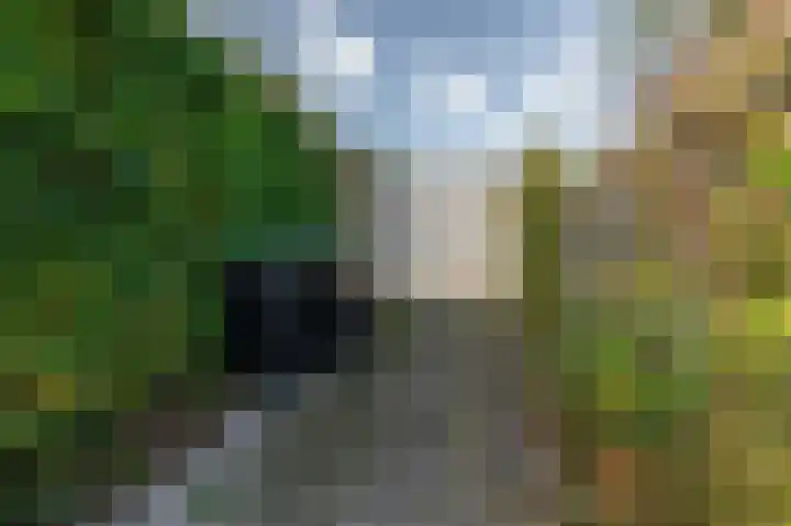 Populierenlaan 14 Middelburg thumbnail 22