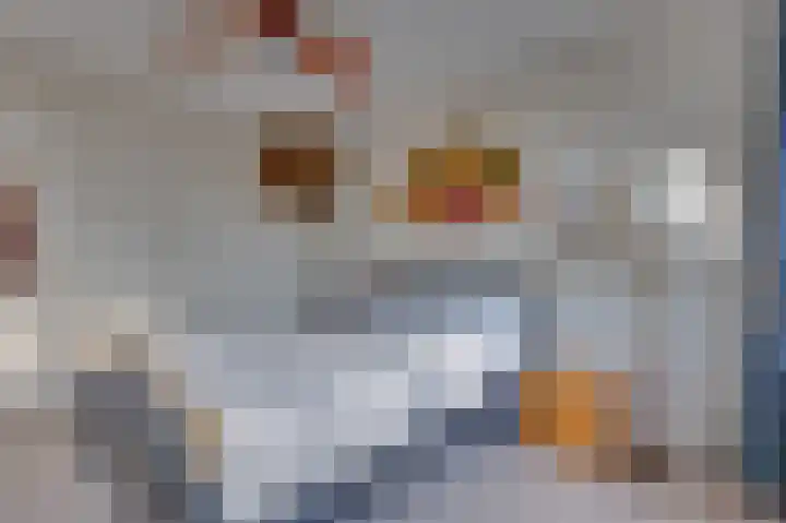 Populierenlaan 14 Middelburg thumbnail 33