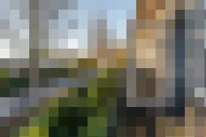 Populierenlaan 14 Middelburg thumbnail 35