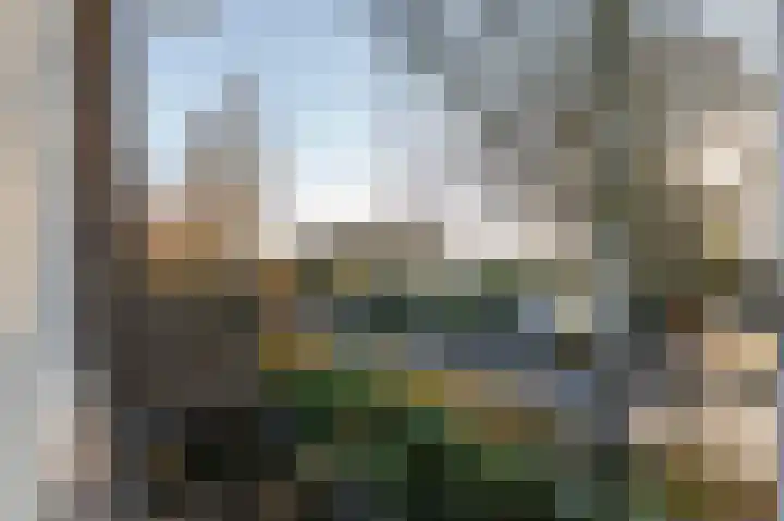 Populierenlaan 14 Middelburg thumbnail 36