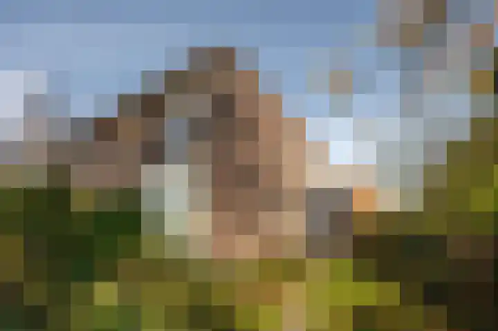Populierenlaan 14 Middelburg thumbnail 39