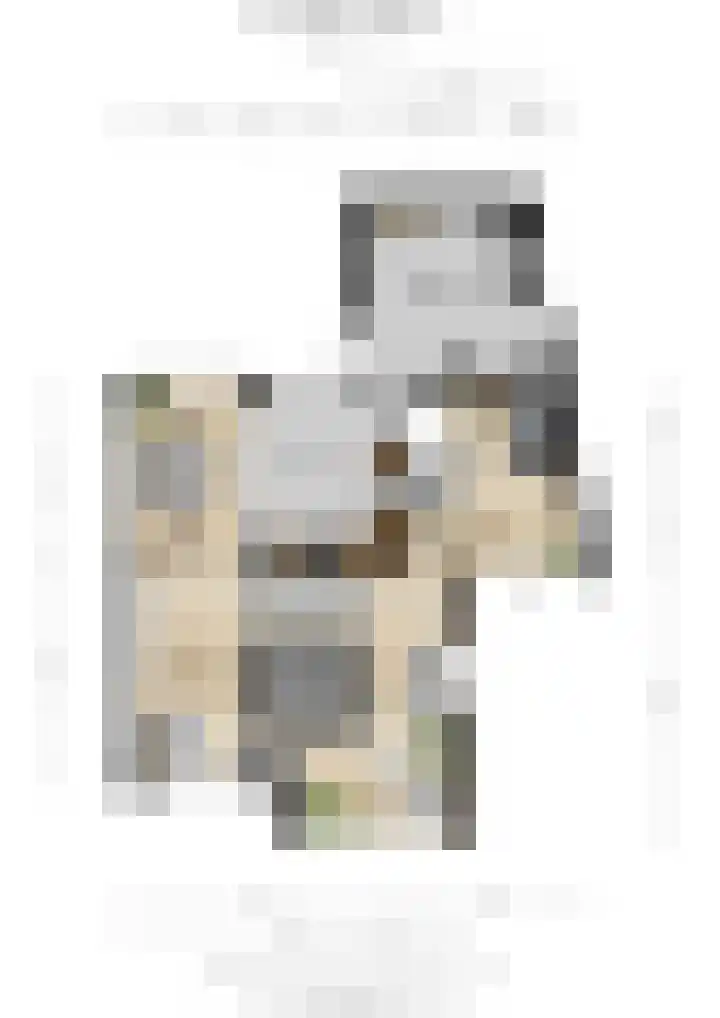 Populierenlaan 14 Middelburg thumbnail 43