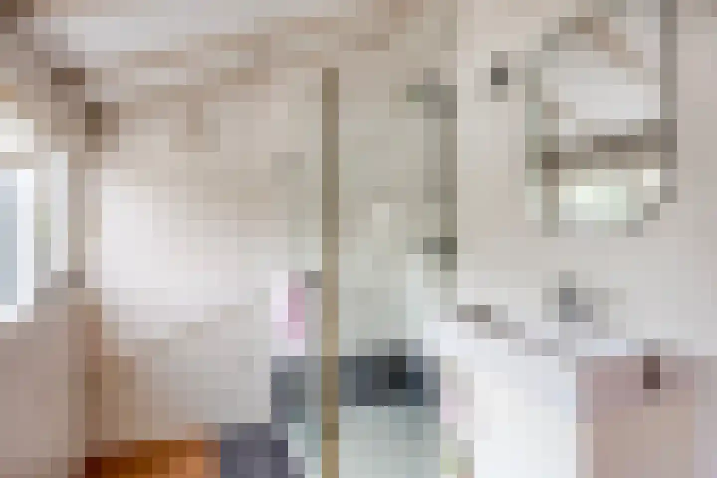 Populierenlaan 141 Krimpen aan den IJssel thumbnail 31