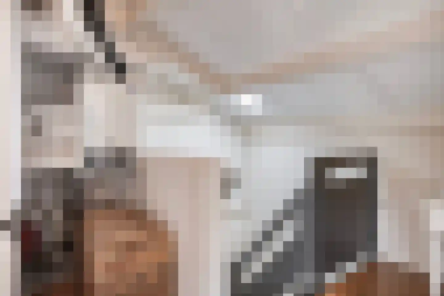 Populierenlaan 141 Krimpen aan den IJssel thumbnail 32