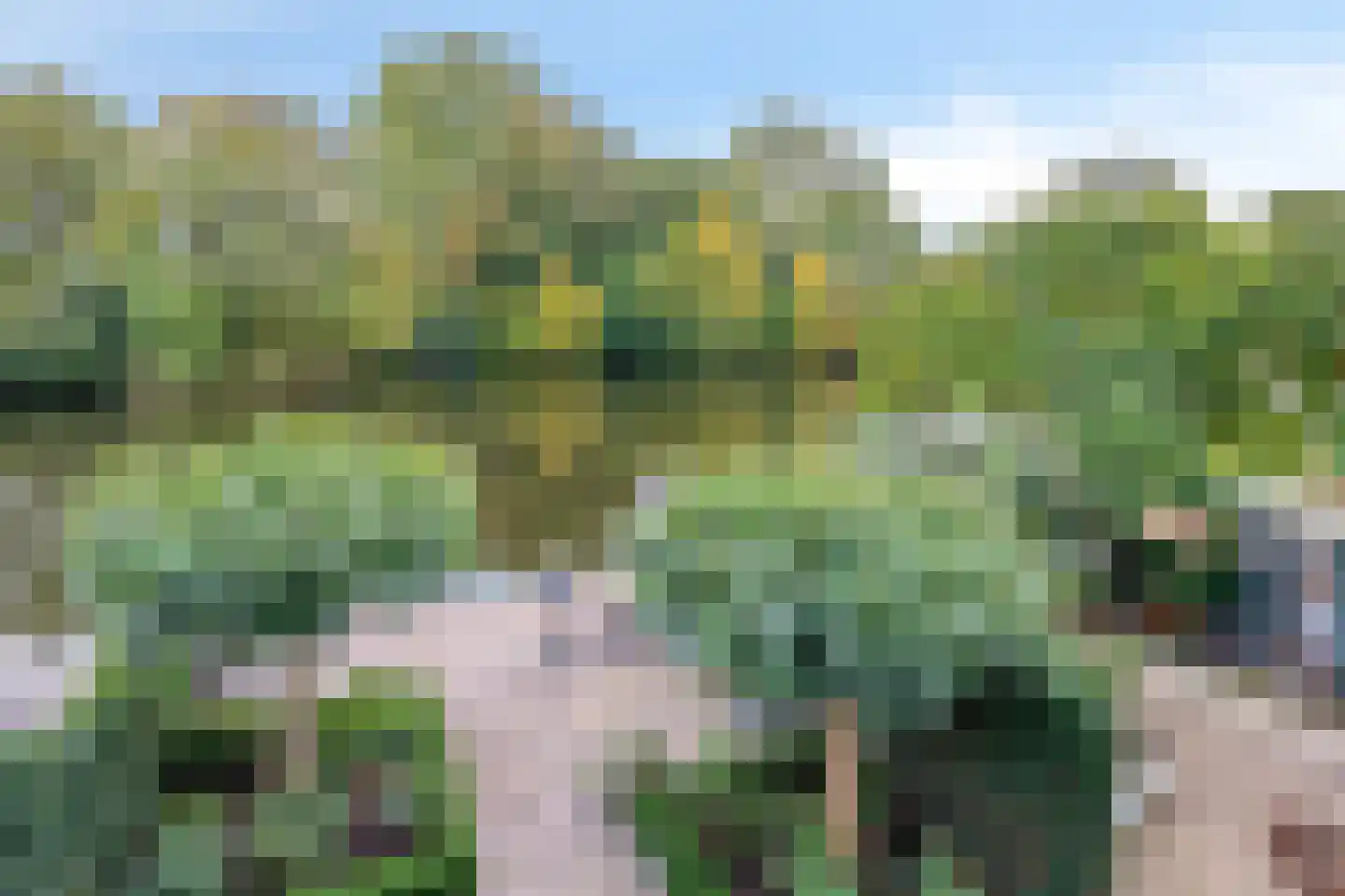 Populierenlaan 141 Krimpen aan den IJssel thumbnail 34