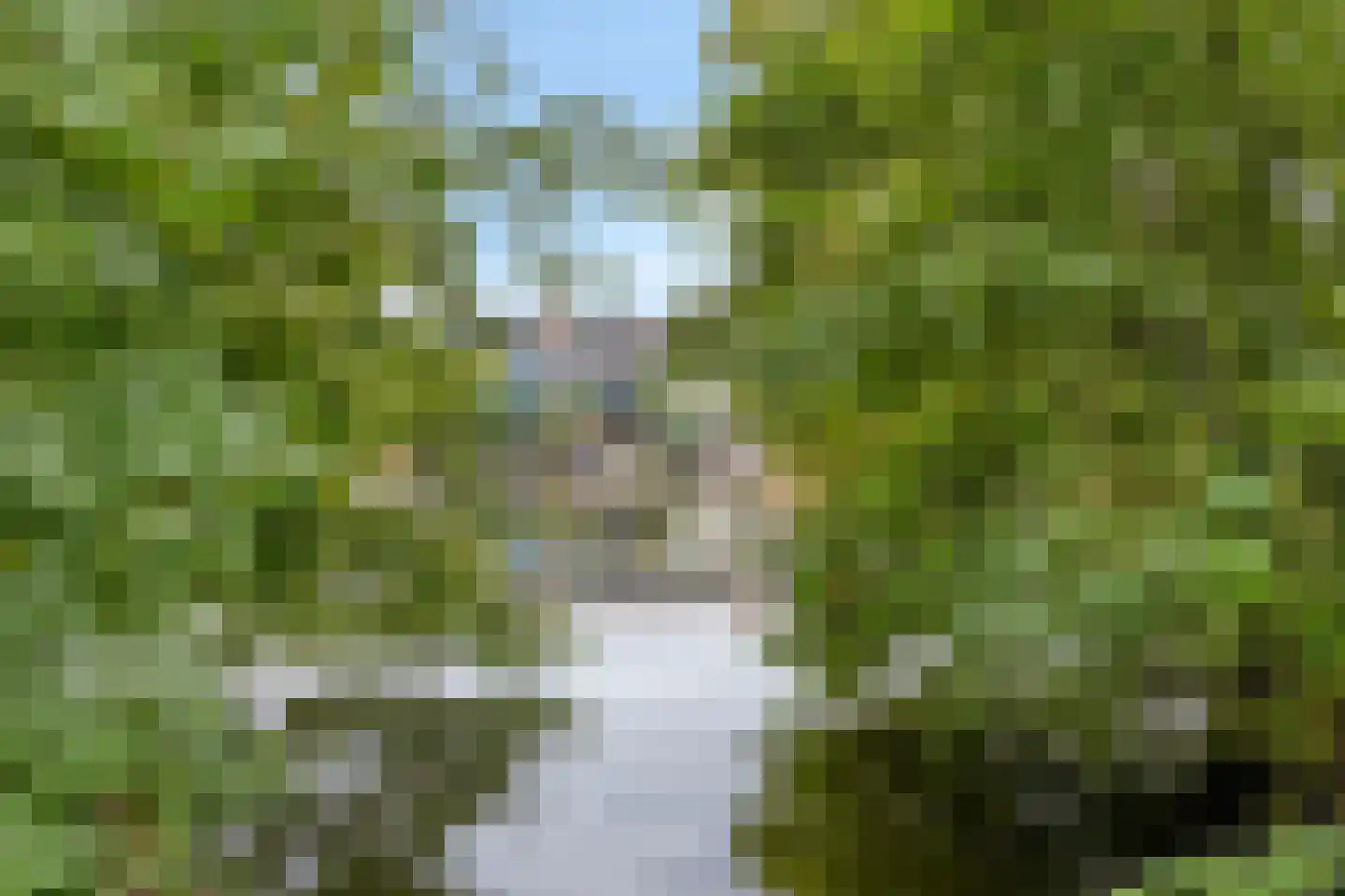 Populierenlaan 141 Krimpen aan den IJssel thumbnail 42
