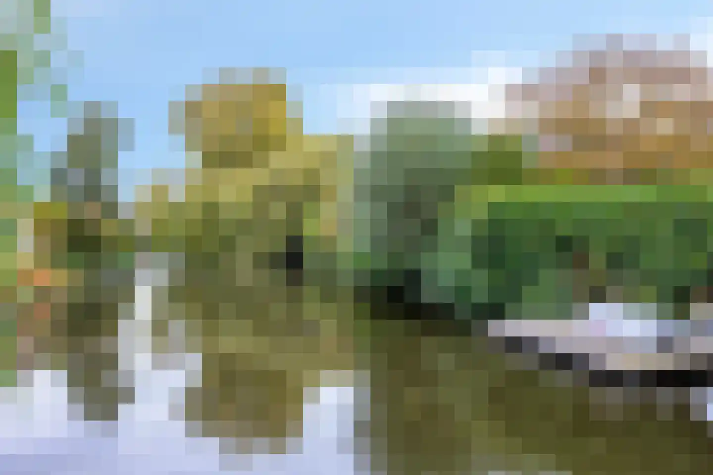 Populierenlaan 141 Krimpen aan den IJssel thumbnail 43