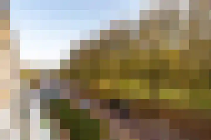 Populierenlaan 147 Zwanenburg thumbnail 19