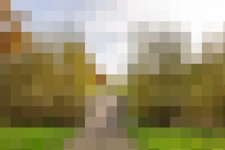 Populierenlaan 147 Zwanenburg thumbnail 22