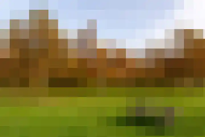 Populierenlaan 147 Zwanenburg thumbnail 24