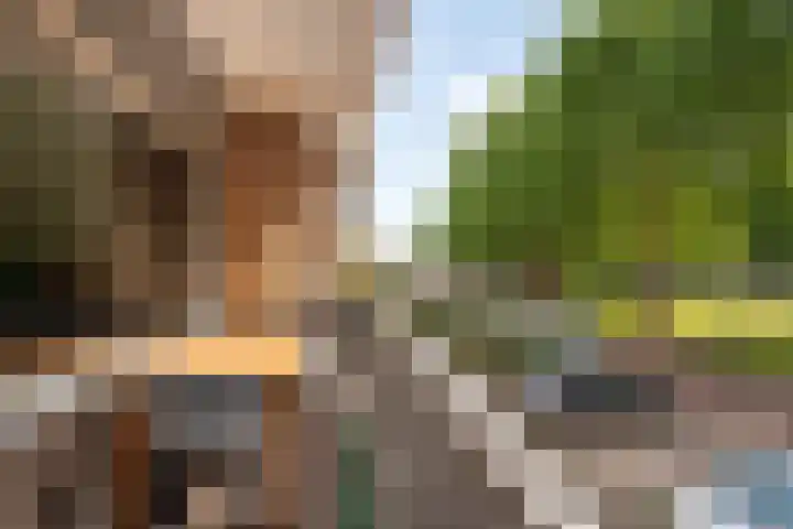 Populierenlaan 149 Zwanenburg thumbnail 11