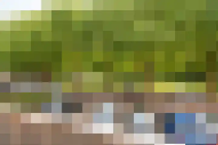 Populierenlaan 149 Zwanenburg thumbnail 12