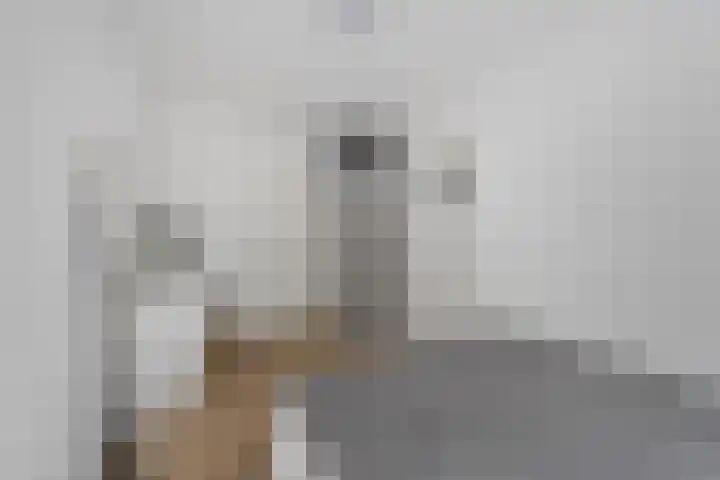 Populierenlaan 149 Zwanenburg thumbnail 14
