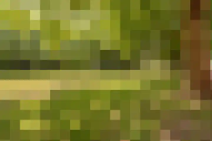 Populierenlaan 149 Zwanenburg thumbnail 17