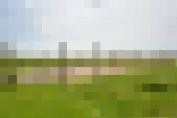 Populierenlaan 149 Zwanenburg thumbnail 19