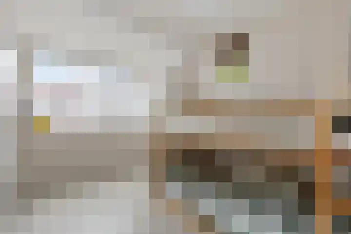 Populierenlaan 15 Hillegom thumbnail 19