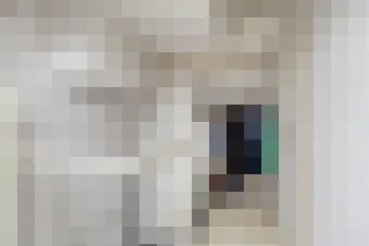 Populierenlaan 15 Hillegom thumbnail 24