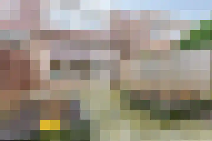 Populierenlaan 15 Hillegom thumbnail 28