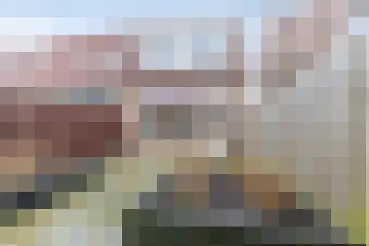 Populierenlaan 15 Hillegom thumbnail 29