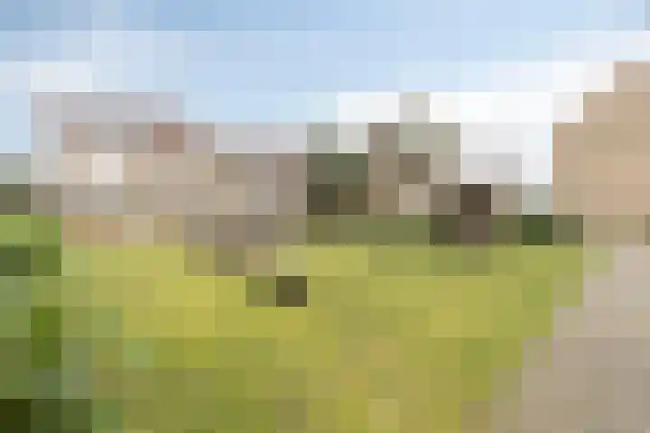 Populierenlaan 15 Hillegom thumbnail 31