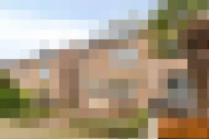 Populierenlaan 15 Hillegom thumbnail 5