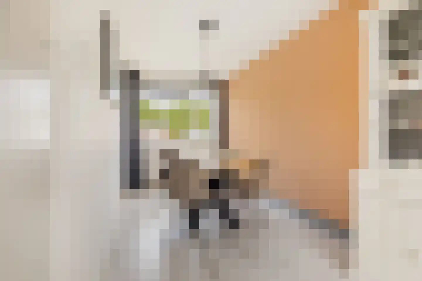 Populierenlaan 15 Zwanenburg thumbnail 11