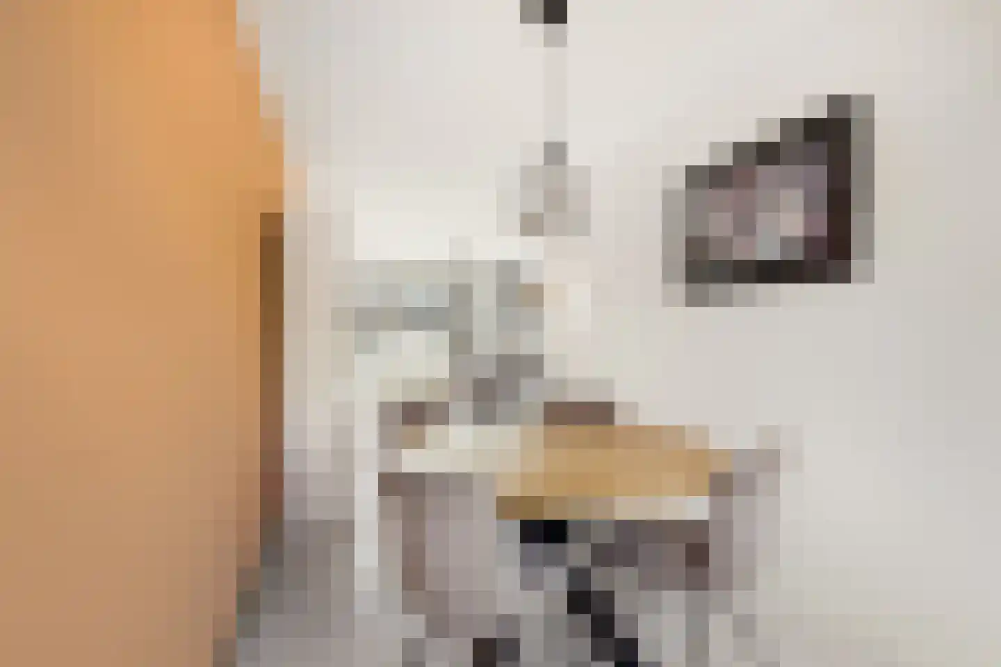 Populierenlaan 15 Zwanenburg thumbnail 12