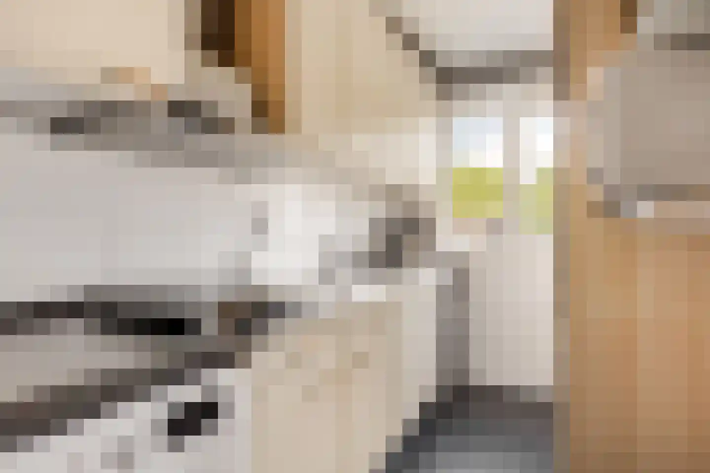Populierenlaan 15 Zwanenburg thumbnail 13