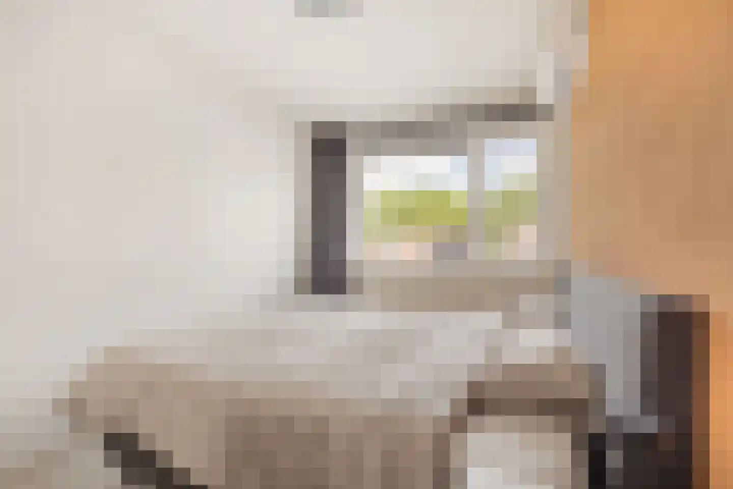 Populierenlaan 15 Zwanenburg thumbnail 18