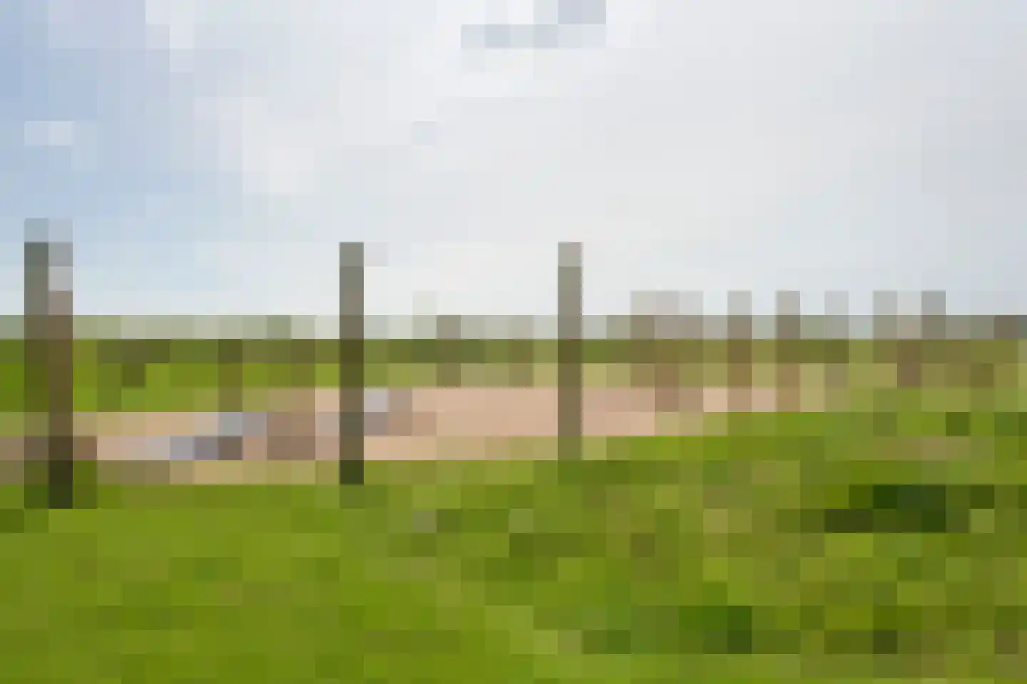 Populierenlaan 15 Zwanenburg thumbnail 27
