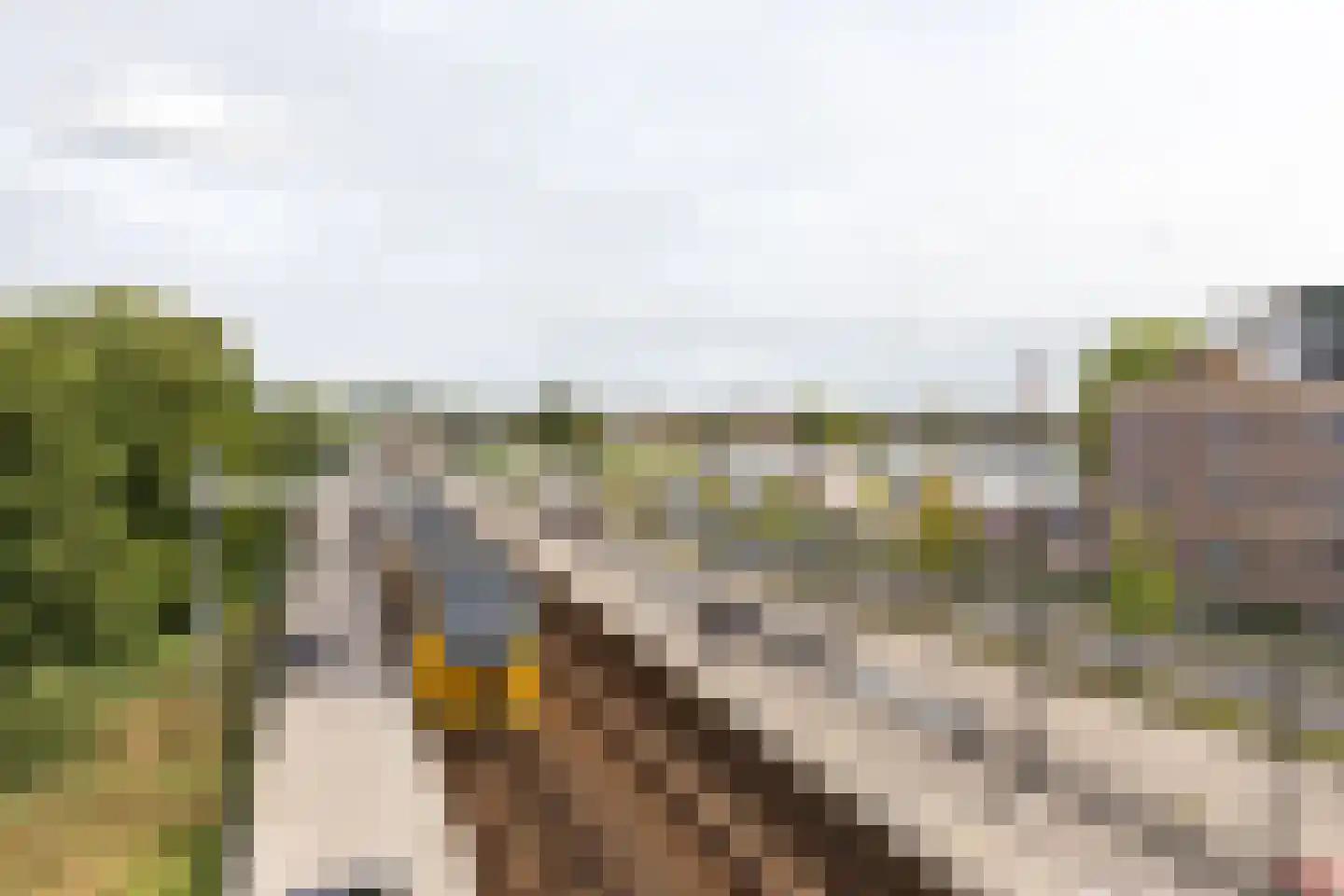 Populierenlaan 15 Zwanenburg thumbnail 34
