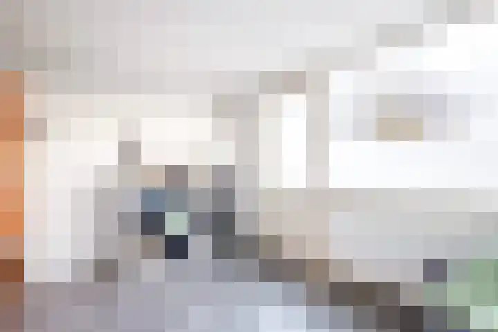 Populierenlaan 16 Krimpen aan den IJssel thumbnail 22