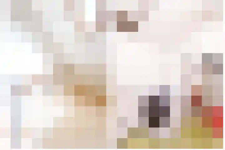 Populierenlaan 16 Krimpen aan den IJssel thumbnail 29