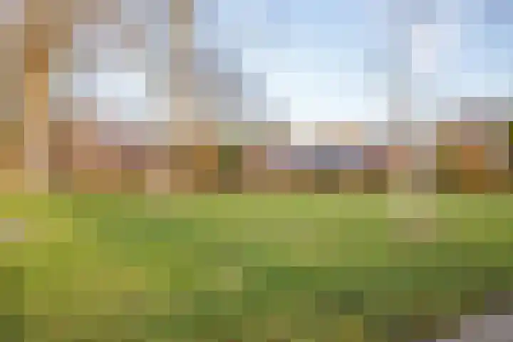 Populierenlaan 16 Krimpen aan den IJssel thumbnail 41