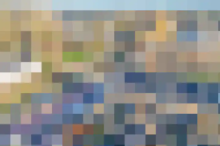 Populierenlaan 16 Krimpen aan den IJssel thumbnail 42