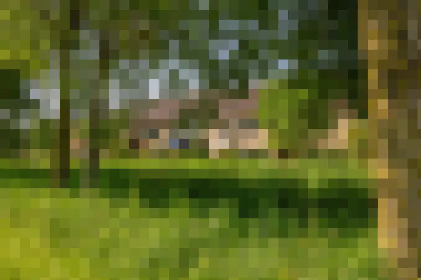Populierenlaan 16 Nootdorp thumbnail 34