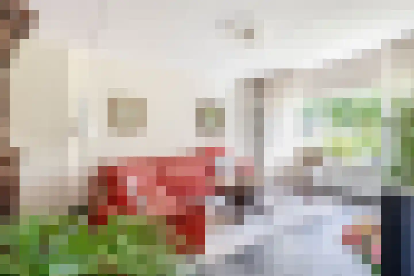 Populierenlaan 16 Nootdorp thumbnail 4