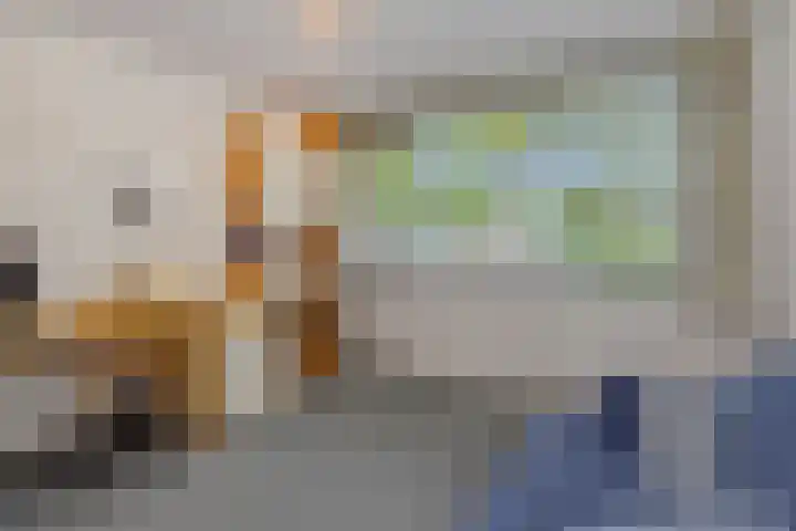 Populierenlaan 16 Rosmalen thumbnail 18