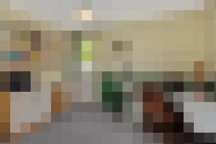 Populierenlaan 16 Rosmalen thumbnail 19