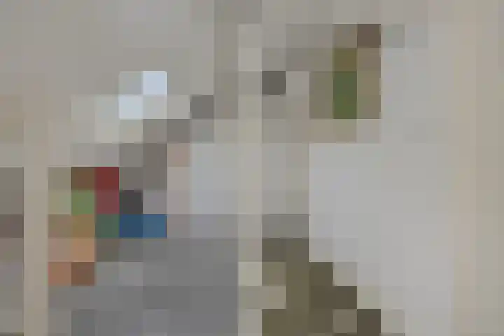 Populierenlaan 16 Rosmalen thumbnail 23