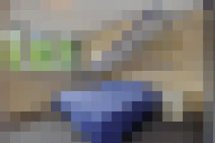 Populierenlaan 16 Rosmalen thumbnail 26