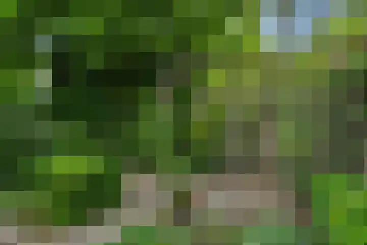 Populierenlaan 16 Rosmalen thumbnail 31