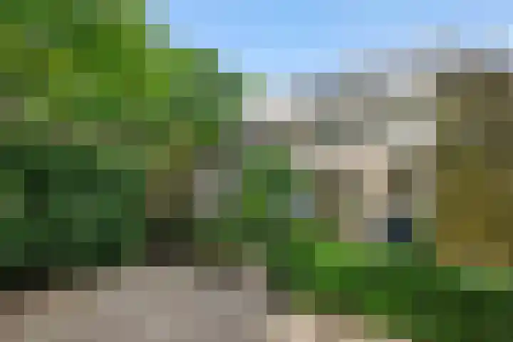 Populierenlaan 16 Rosmalen thumbnail 33