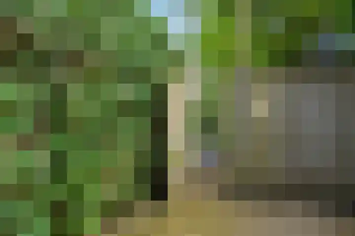 Populierenlaan 16 Rosmalen thumbnail 36