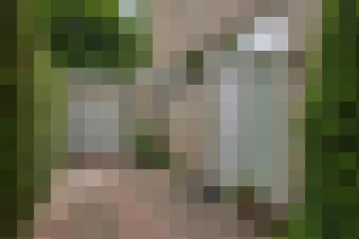 Populierenlaan 16 Rosmalen thumbnail 37