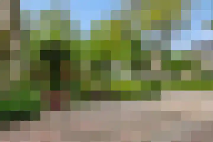 Populierenlaan 16 Rosmalen thumbnail 38