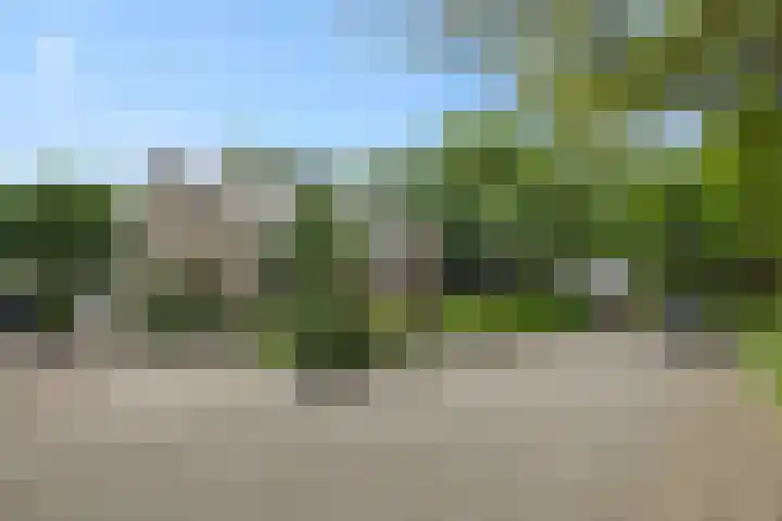 Populierenlaan 16 Rosmalen thumbnail 39