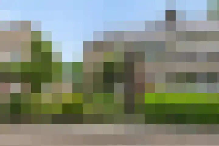 Populierenlaan 16 Rosmalen thumbnail 40