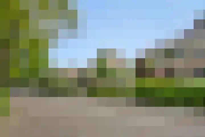 Populierenlaan 16 Rosmalen thumbnail 41